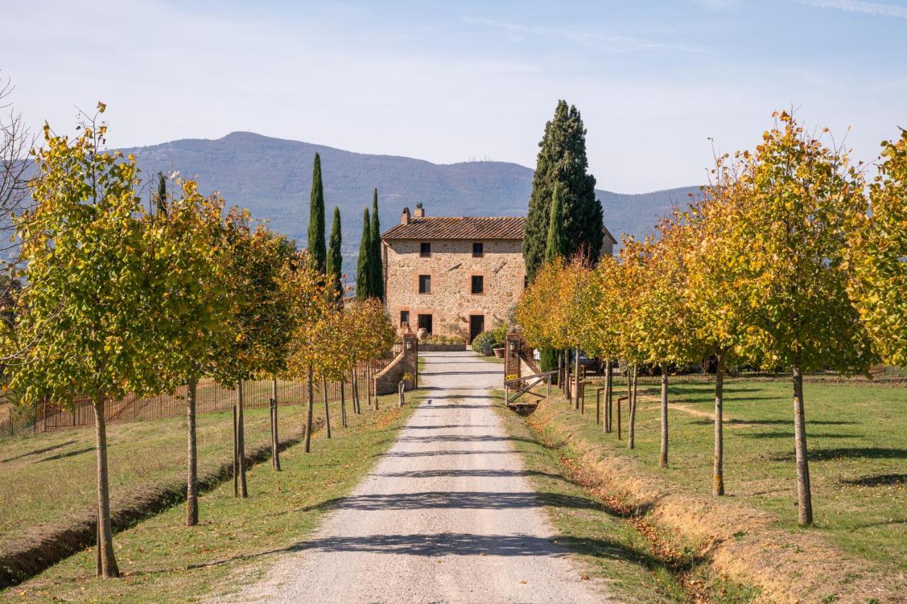 San Carlo A La Molinella Guest House Città della Pieve Eksteriør bilde