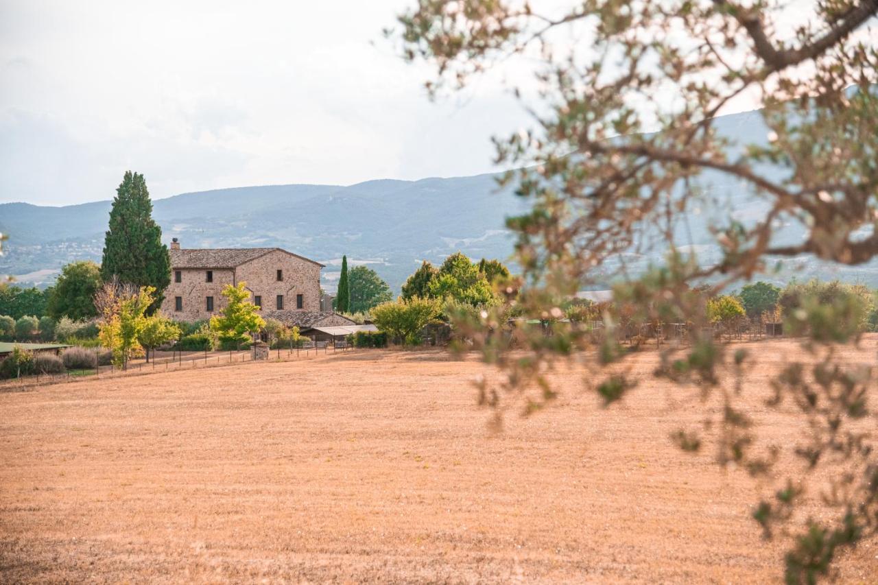 San Carlo A La Molinella Guest House Città della Pieve Eksteriør bilde