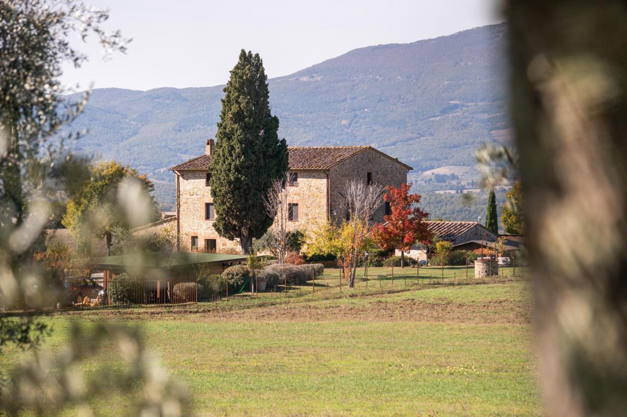 San Carlo A La Molinella Guest House Città della Pieve Eksteriør bilde