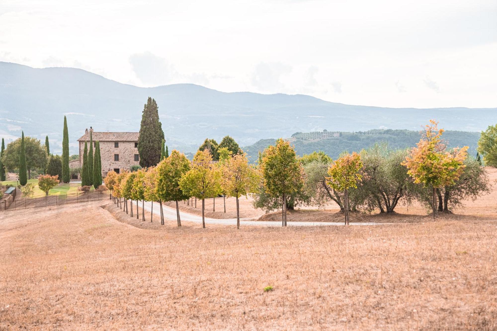 San Carlo A La Molinella Guest House Città della Pieve Eksteriør bilde
